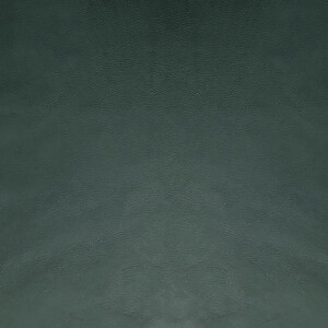 Cuir lisse vert sapin