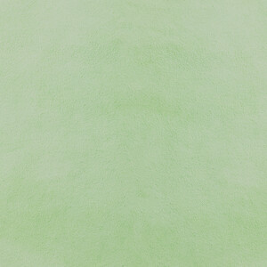 Chèvre velours menthe