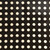 Poil noir pois blanc